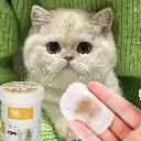 imgi_88_24df5394-369c-4522-b11e-f993d764295d.webp