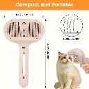 imgi_101_baec61ba-fc34-4358-8cc6-f3b187a47e89.webp